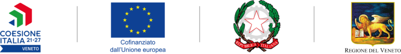 Rete Innovativa Regionale Venetian Cluster